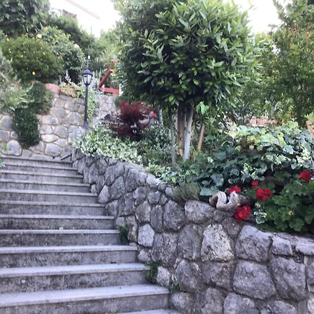 Bed & Breakfast House Vali *